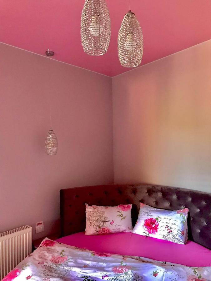 Sweet Pink By Miro Apartment シナヤ エクステリア 写真